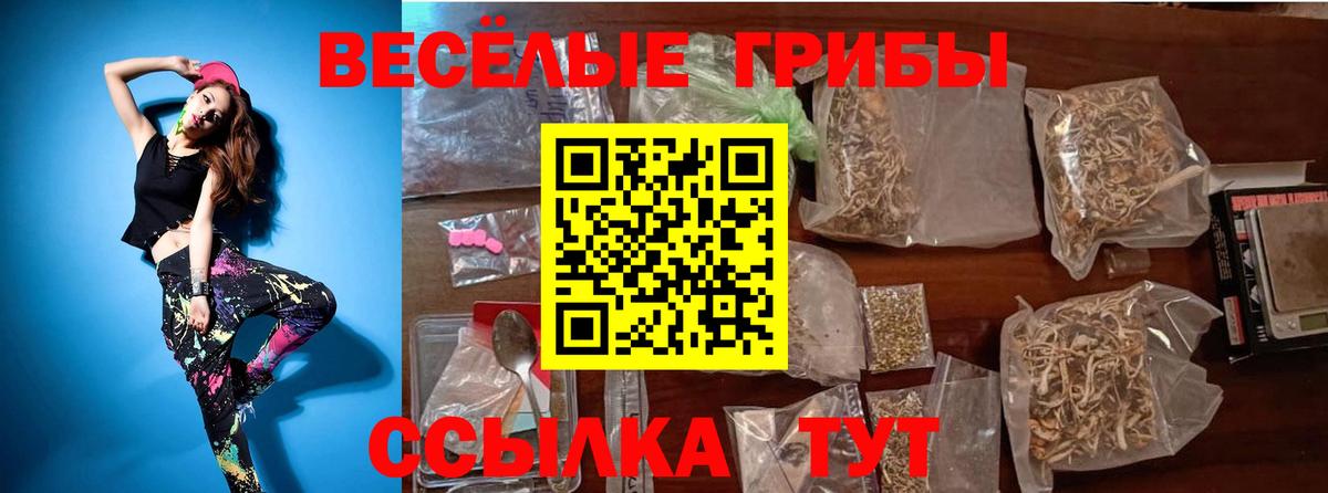 Галлюциногенные грибы мицелий  Вход с VPN  Троицк  Псилоцибиновые грибы GOLDEN TEACHER 